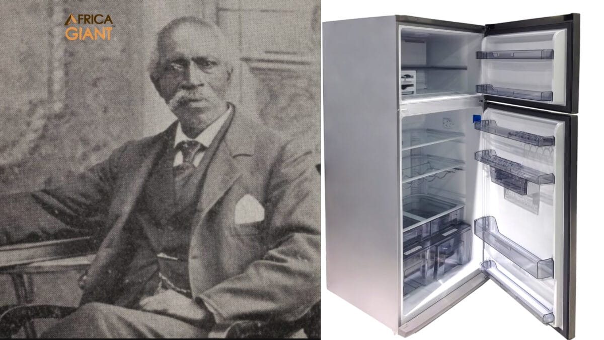 African Giant Thomas Elkins: Invented The Refrigerator While Changing ...